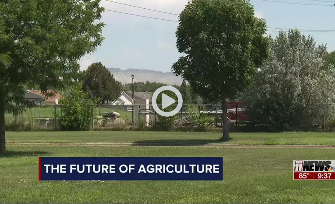https://www.nbc11news.com/2021/07/30/future-agriculture/
