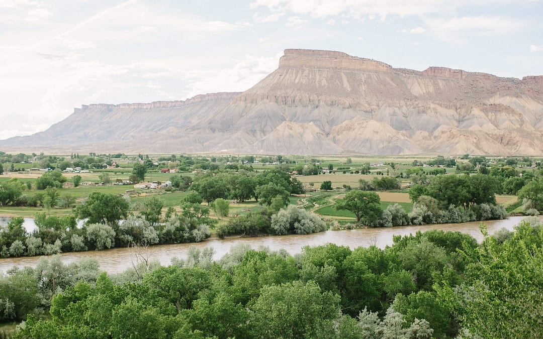 Colorado’s Emerging Wine Industry Starts Here in the Grand Valley